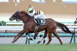 【七夕賞】競馬チャンネルライター大集合！（1）中西友馬の予想
