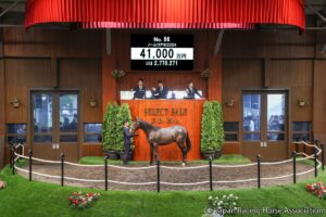衝撃の価格連発…！セレクトセール1歳部門の注目馬（4）ディープインパクトの6倍…それでも納得の超良血馬