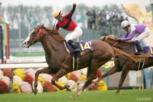 ジャングルポケット産駒最強馬は？獲得賞金ランキング【第3位】超絶スピード出世！デビュー184日で菊花賞制覇