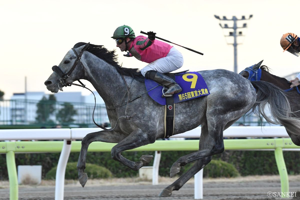 2019年東京大賞典を制した時のオメガパフューム