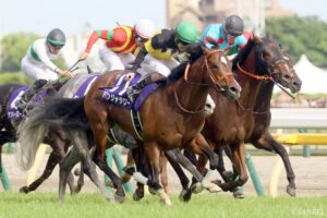 【キーンランドC 有力馬診断】◎・△候補が丸わかり！秋の大一番へ弾みをつけるのはどの馬だ…