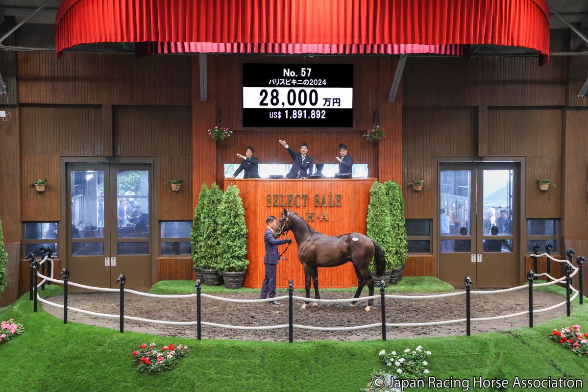 パリスビキニの2024 ⓒJapan Racing Horse Association