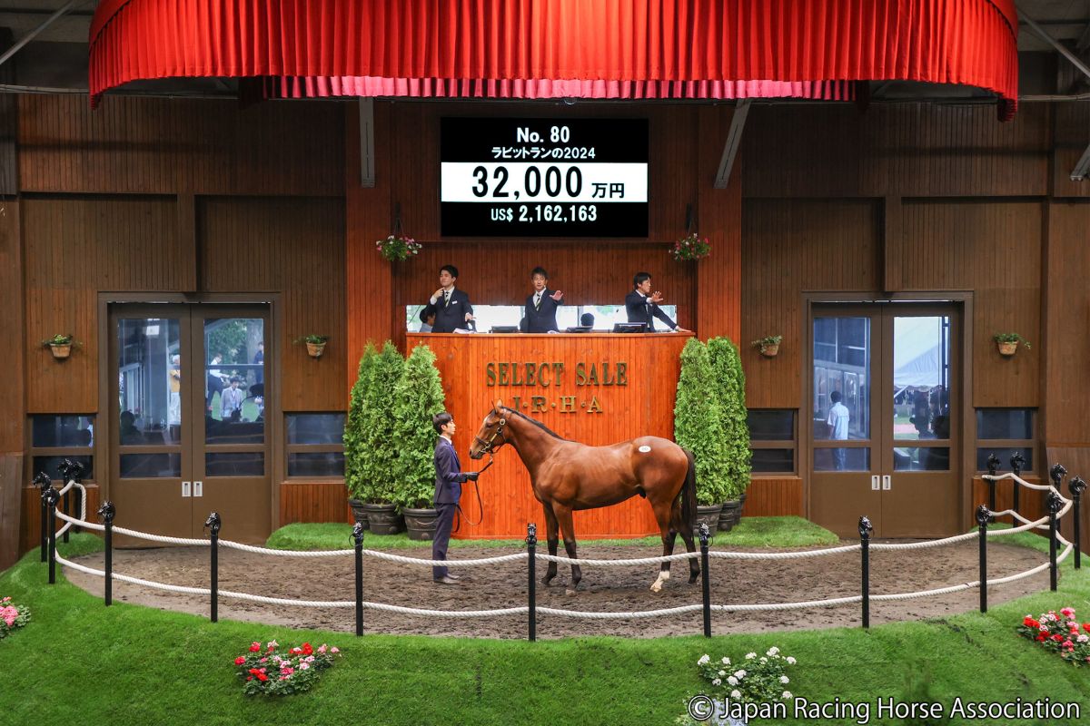 ラビットランの2024 ⓒJapan Racing Horse Association