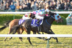 フジキセキ産駒の賞金王は…？獲得賞金ランキング【第6位】4歳でイケイケ状態！ 4億円超を稼いだタフガイ