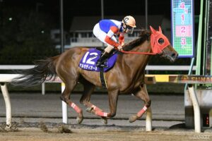 ゴールドアリュール産駒の最強馬は？賞金ランキング【第10位】ダート種付け王の愛娘…地方転厩で輝いた女傑
