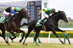 ジャングルポケット産駒最強馬は？獲得賞金ランキング【第8位】相手の強さは関係なし…重賞の名バイプレイヤー