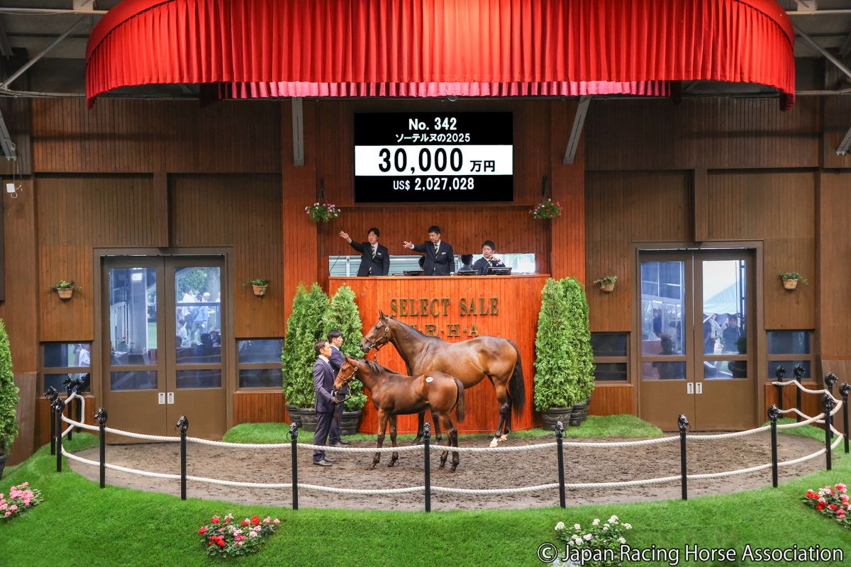 ソーテルヌの2025 ⓒJapan Racing Horse Association
