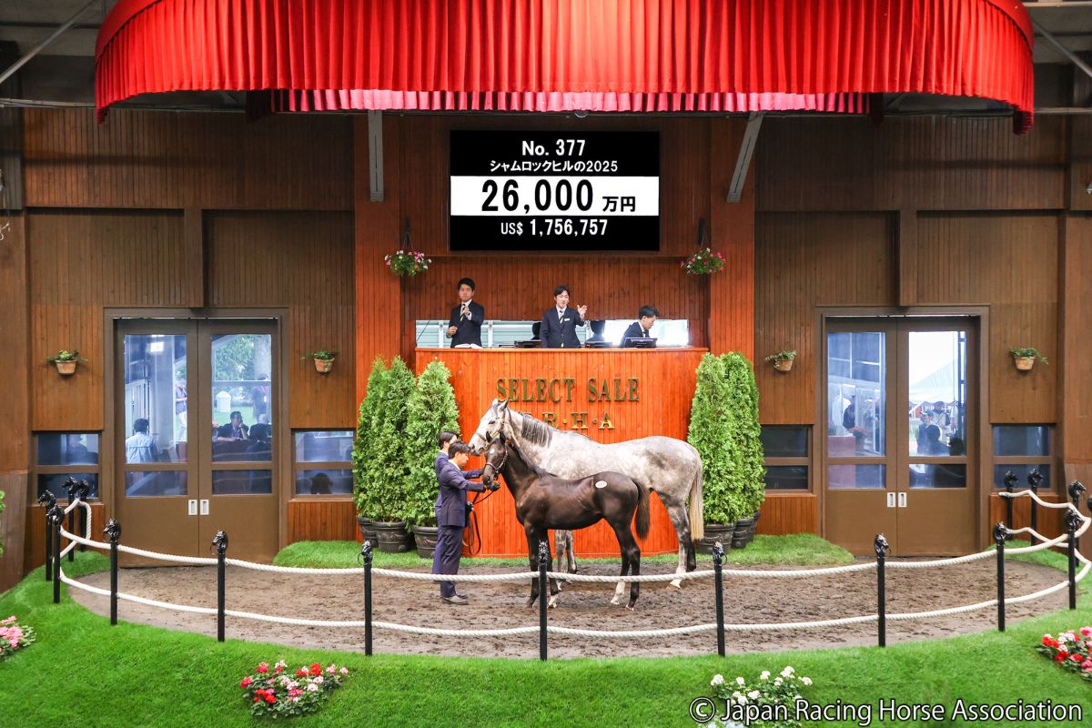 シャムロックヒルの2025 ⓒJapan Racing Horse Association