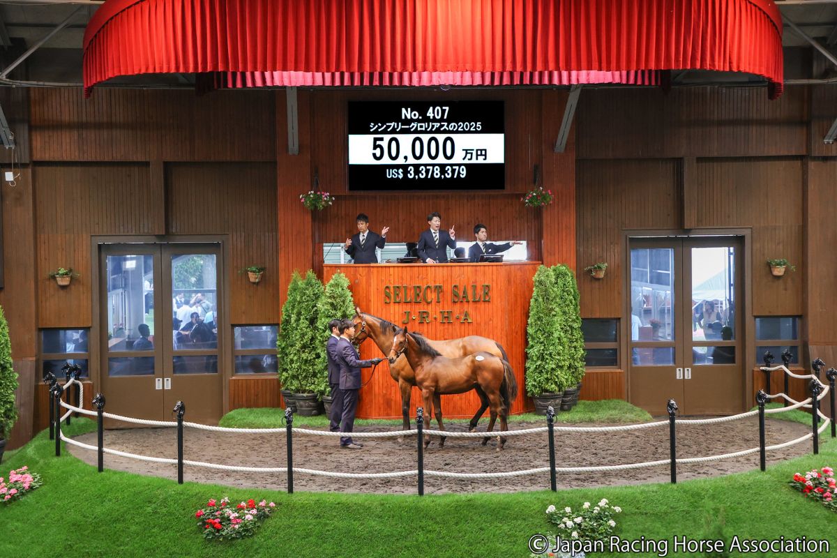 シンプリーグロリアスの2025 ⓒJapan Racing Horse Association