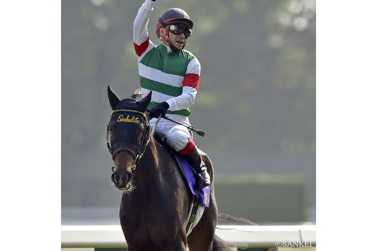 2016年優駿牝馬を制したシンハライト
