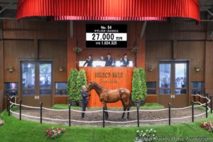 セレクトセール1歳部門 落札額ランキング【第8位 】日本競馬界随一の“引きの強さ”を誇る金子氏が落札