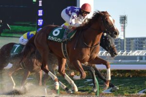 ゴールドアリュール産駒の最強馬は？賞金ランキング【第7位】東京は激アツ…重賞を走る続けた不屈の男