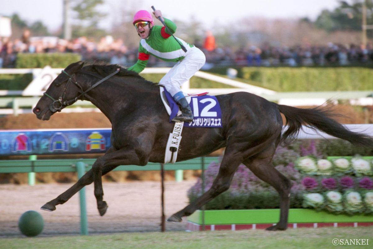 2003年有馬記念を制した時のシンボリクリスエス