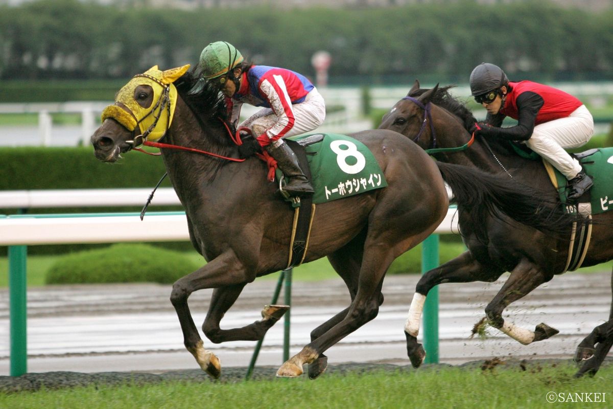 2008年マーメイドSを制したトーホウシャイン
