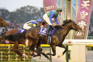 ジャングルポケット産駒最強馬は？獲得賞金ランキング【第1位】これぞ下剋上！鬼の勝負強さが産駒の真骨頂