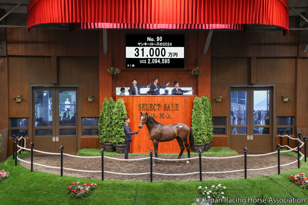 ヤンキーローズの2024ⓒJapan Racing Horse Association