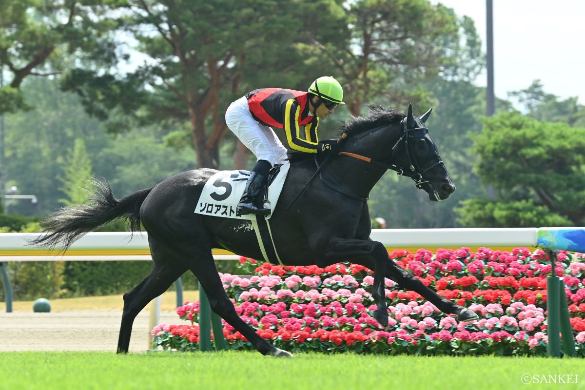 2025年7月27日未勝利戦を制したゾロアストロ