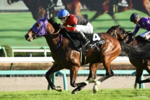【アイビスSD ライター予想】（3）~野生の勘で目指す完璧予想！湘南のライオン ~TOMの予想