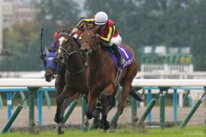 【新潟記念 有力馬診断】◎・△候補が丸わかり！好メンバーが揃った一戦を制するのはどの馬か…