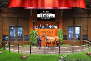 大化け期待の先行投資！藤田晋氏セレクトセール当歳部門（2）1億超でもお買い得？大注目なイクイノックス産駒