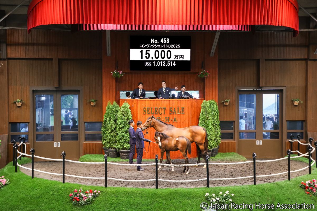 コンヴィクションIIの2025 ⓒJapan Racing Horse Association