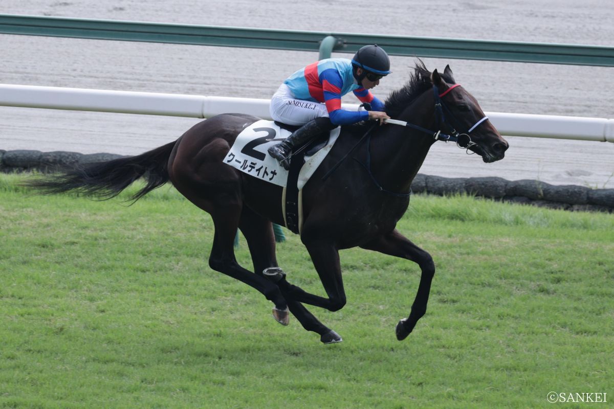 2025年8月24日未勝利戦を勝利したクールデイトナ