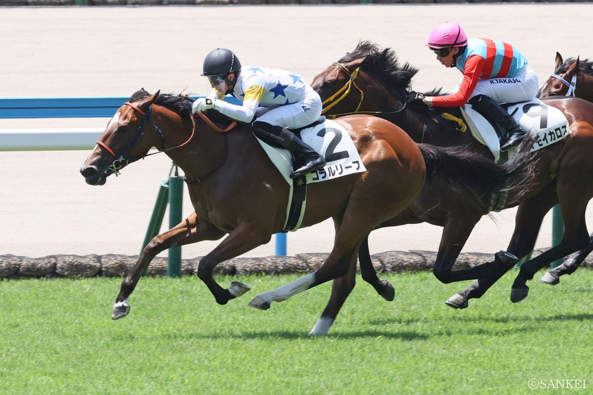 2025年6月29日新馬戦を制したコラルリーフ