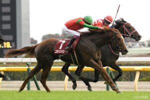 【アイビスSD】競馬チャンネルライター大集合！本命党から穴党まで、夏の新潟名物を徹底予想