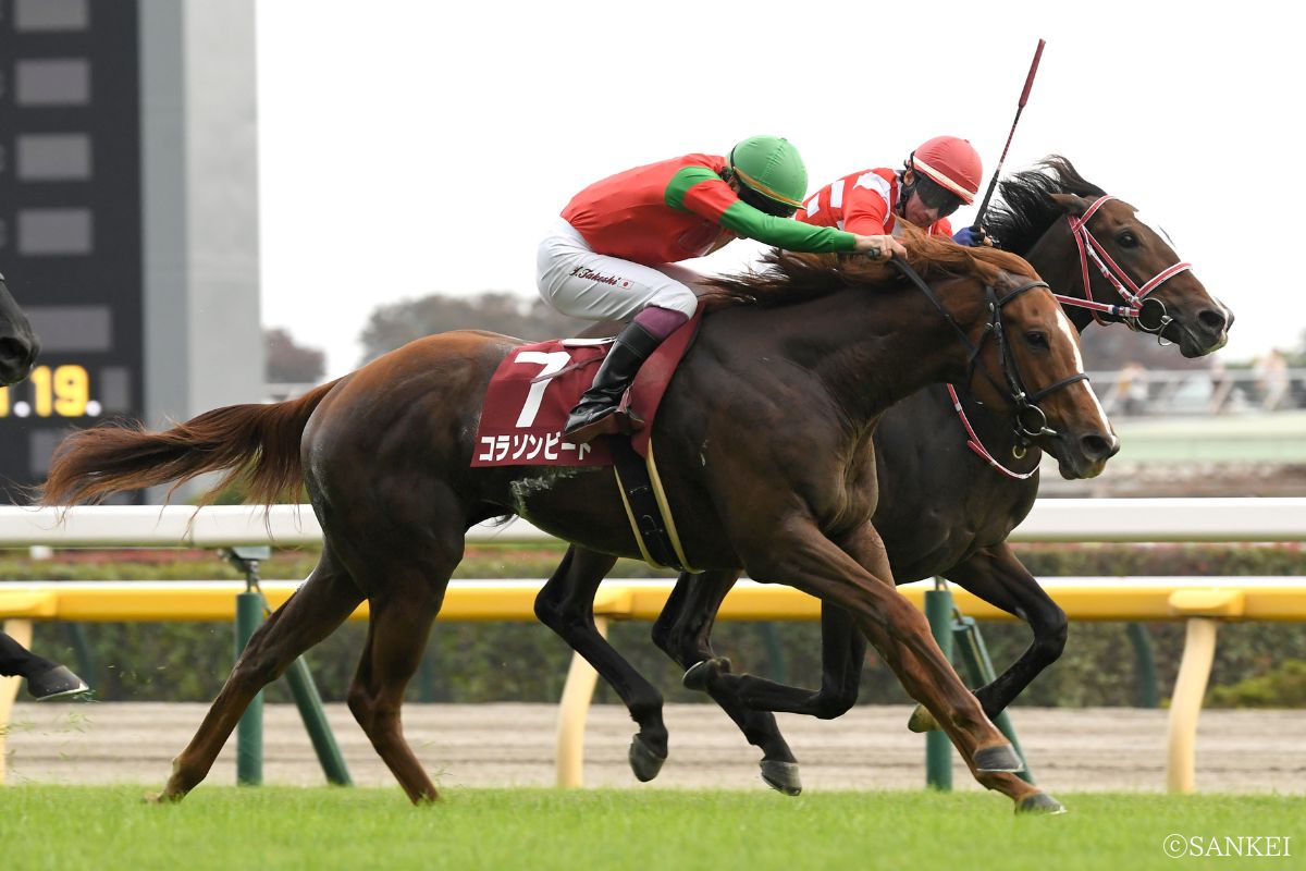 2023年京王杯2歳Sを制したコラソンビート