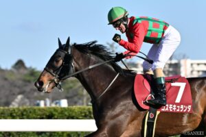 【札幌記念 有力馬診断】◎・△候補が丸わかり！真夏のスーパーGⅡを制すのはどの馬だ…