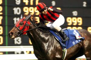 歴代最強の「マル外」はどの馬？外国産馬獲得賞金ランキング【第5位】「水が合う」とはこのこと…香港で無双した世界馬