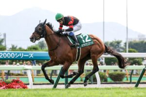 【札幌記念 ライター予想】（1）~ルメール専門家~ 中毒じゃない象さんの予想