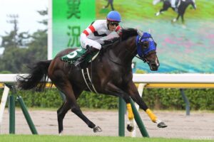 【登録馬】新潟JS