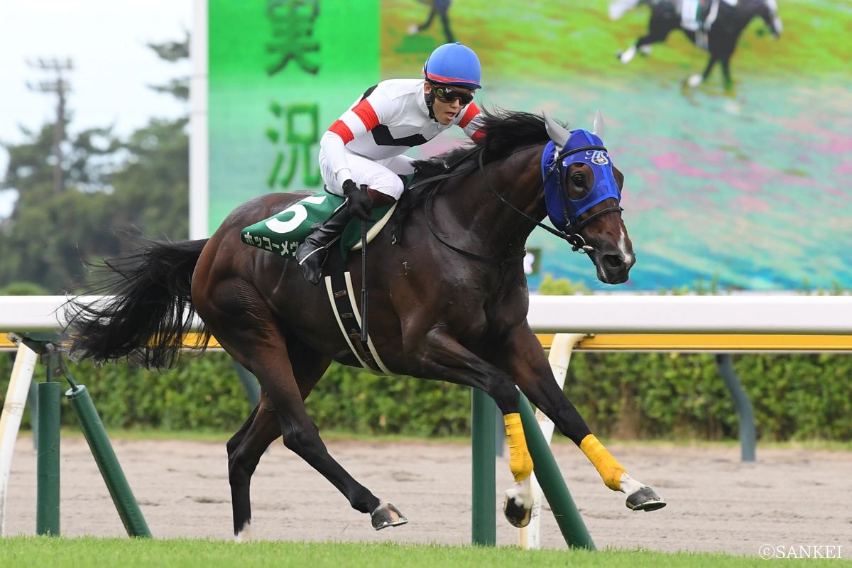 2024年新潟ジャンプSを制した時のホッコーメヴィウス