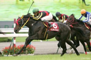 スペシャルウィーク産駒最強馬は？獲得賞金ランキング【第3位】彼が同世代にいなければ…3億超を稼いだ実力者
