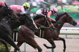 【重賞回顧 CBC賞】佐々木騎手の神騎乗炸裂！インビンシブルパパ、芝2戦目で重賞初制覇