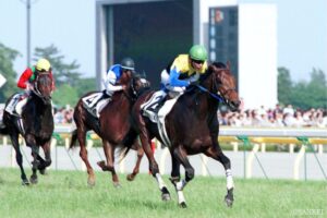 キングカメハメハ　〜史上初の変則2冠。産駒は芝・砂問わず。日本競馬史に残る異質な存在〜