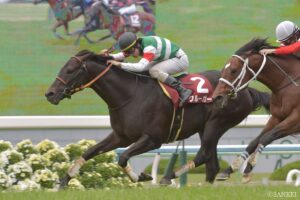 【今週の新馬戦 (日曜日の注目馬）】叔父に重賞馬クルーガーを持つフィーユレアルがデビュー勝ちへ！