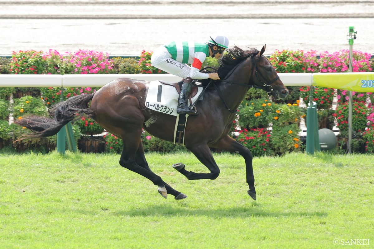 2025/8/17未勝利戦を制したローベルクランツ