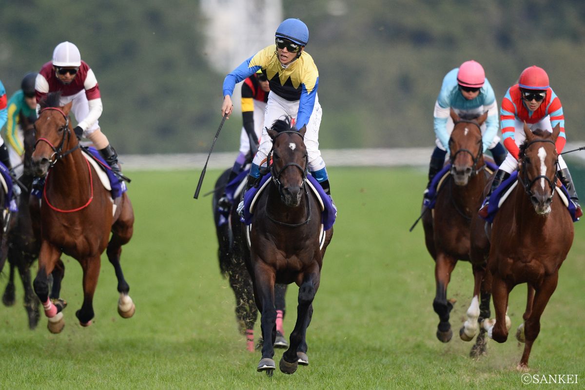 2015年天皇賞(秋)を制した時のラブリーデイ
