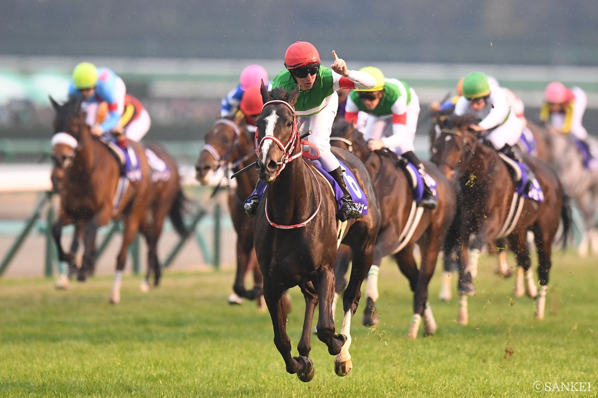 2019年有馬記念を制した時のリスグラシュー