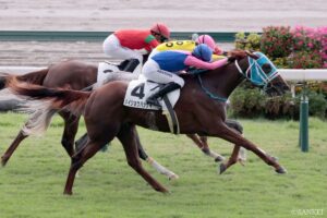 【東大流・次世代スター発掘】8月23日、24日2歳戦レビュー（1）2000勝目メイショウハッケイ★5