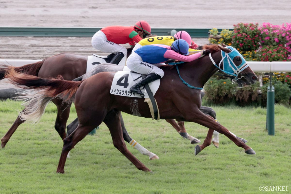 2025年8月23日 未勝利戦を勝利したメイショウハッケイ