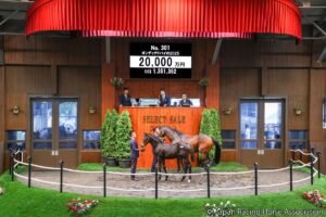 大化け期待の先行投資！藤田晋氏セレクトセール当歳部門（1）いきなり2億円…センス抜群の青田買い！