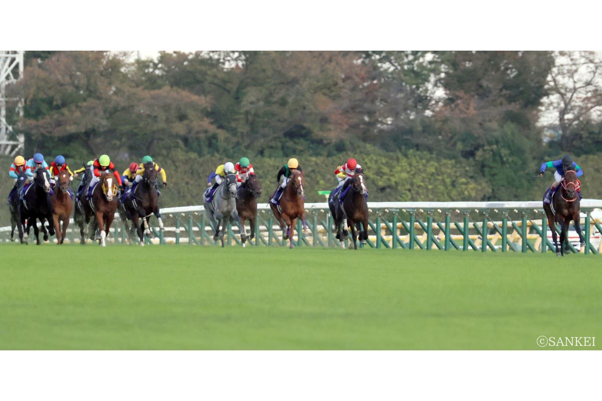 写真は2022年天皇賞・秋のパンサラッサ