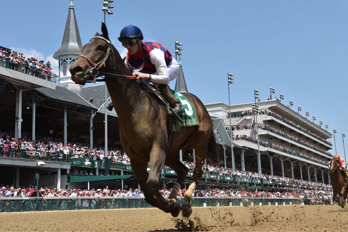 米国GI馬のカリーナミア(Photo by Horsephotos/Getty Image)