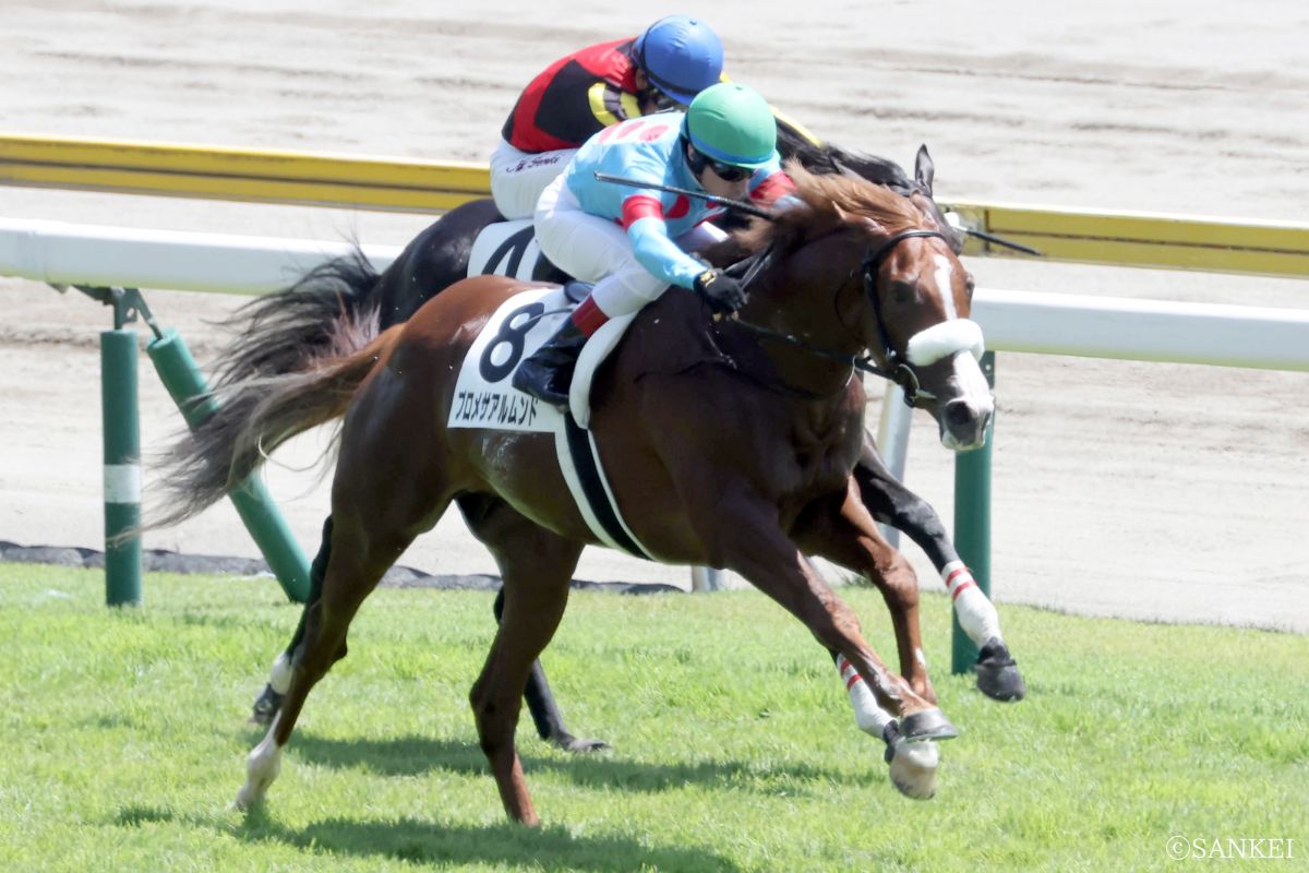 2025年8月3日 2歳新馬を制したプロメサアルムンド