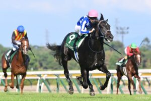 【熱闘レビュー 新潟2歳S】リアライズシリウスの将来は約束された？ポエティックフレア産駒は重賞初勝利