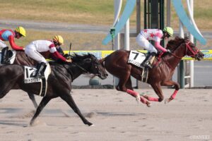 【次の激走馬を探しだせ！惜敗パトロール隊】ペースに泣いたレーティッシュ、次こそは勝ち上がるか…
