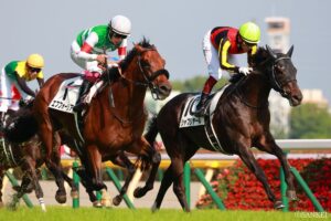シャフリヤール産駒がセレクトセール初登場！唯一の上場馬は7200万円で落札【セレクトセール2026】